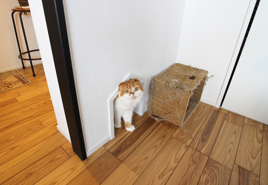 GAKUGEIDAIGAKU 画像5